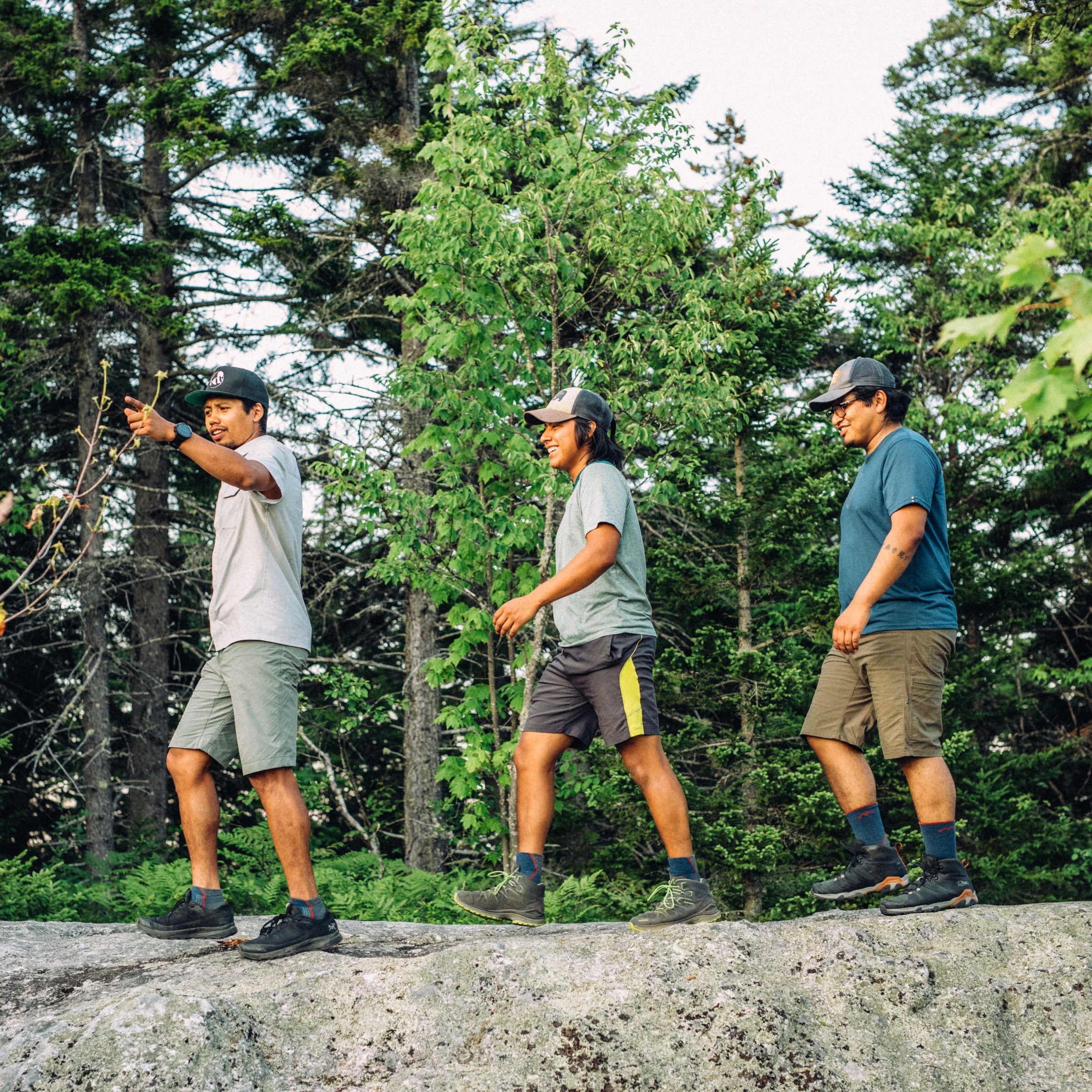 Men's Light Hiker No Show Lightweight Hiking Socks